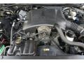 2000 Ford Crown Victoria 4.6 Liter SOHC 16-Valve V8 Engine Photo