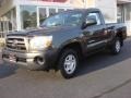 2009 Magnetic Gray Metallic Toyota Tacoma Regular Cab  photo #7