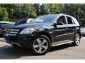 Black - ML 350 4Matic Photo No. 1