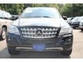 Black - ML 350 4Matic Photo No. 2
