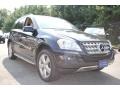 Black - ML 350 4Matic Photo No. 7