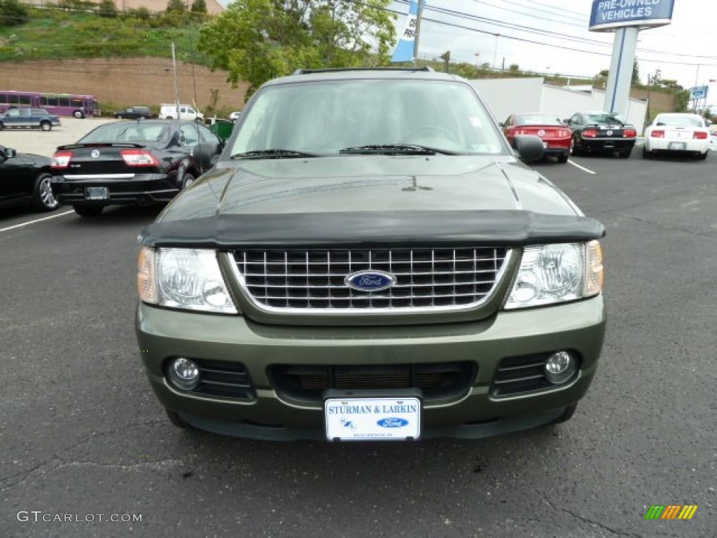 2004 Explorer XLT 4x4 - Estate Green Metallic / Medium Parchment photo #6