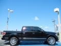 Tuxedo Black - F150 Platinum SuperCrew Photo No. 6