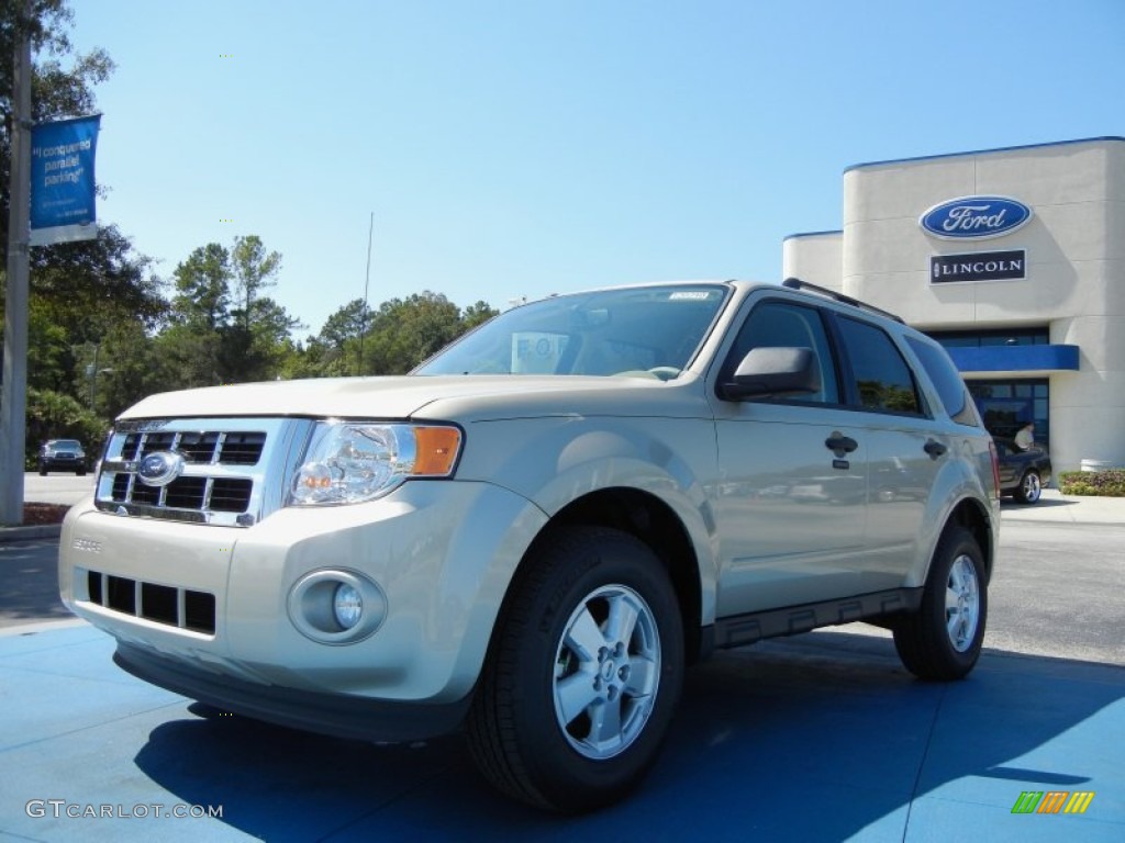 2012 Escape XLT - Gold Leaf Metallic / Camel photo #1