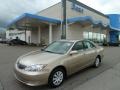 Desert Sand Mica - Camry LE Photo No. 1