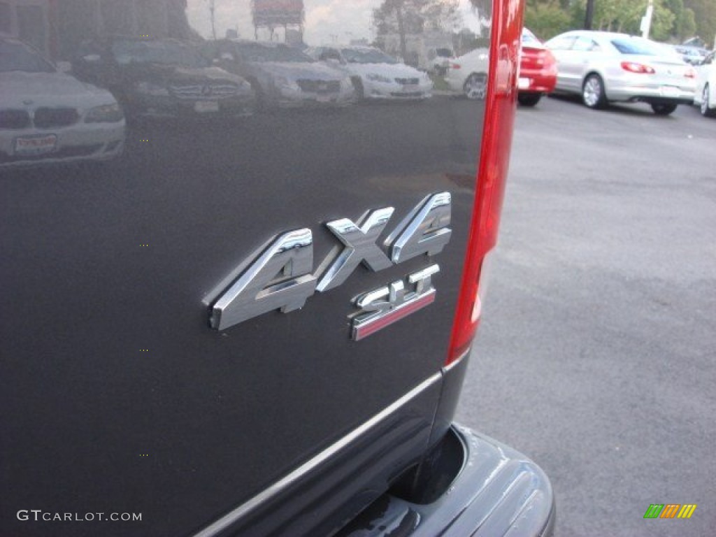 2004 Ram 1500 Sport Regular Cab 4x4 - Graphite Metallic / Dark Slate Gray photo #21