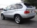 Titanium Silver Metallic - X5 3.0i Photo No. 4