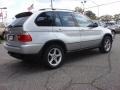 Titanium Silver Metallic - X5 3.0i Photo No. 6