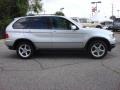Titanium Silver Metallic - X5 3.0i Photo No. 7