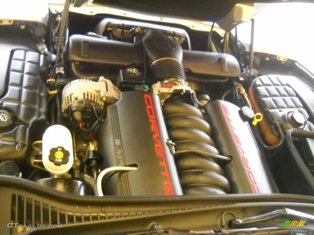 2004 Chevrolet Corvette Coupe 5.7 Liter OHV 16-Valve LS1 V8 Engine Photo #54785439