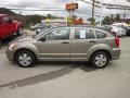 Light Khaki Metallic - Caliber SE Photo No. 2