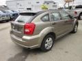 Light Khaki Metallic - Caliber SE Photo No. 5