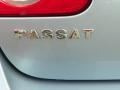 Arctic Blue Silver - Passat 2.0T Sedan Photo No. 9