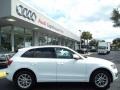 Ibis White - Q5 2.0T quattro Photo No. 5