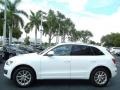 Ibis White 2011 Audi Q5 2.0T quattro Exterior