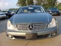 Granite Grey Metallic - CLS 500 Photo No. 6