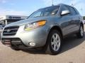 Platinum Sage 2008 Hyundai Santa Fe Limited