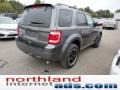 Sterling Gray Metallic - Escape XLT Sport AWD Photo No. 8