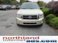 Gold Leaf Metallic - Escape XLT V6 4WD Photo No. 3