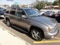 Graystone Metallic - TrailBlazer LT 4x4 Photo No. 10