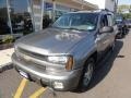 Graystone Metallic - TrailBlazer LT 4x4 Photo No. 13
