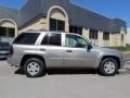 2002 Light Pewter Metallic Chevrolet TrailBlazer LS  photo #4