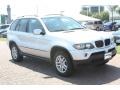 2004 Titanium Silver Metallic BMW X5 3.0i  photo #5