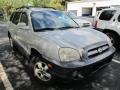 Smart Silver - Santa Fe GLS Photo No. 1