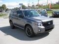 2012 Sterling Gray Metallic Ford Escape XLT Sport AWD  photo #4