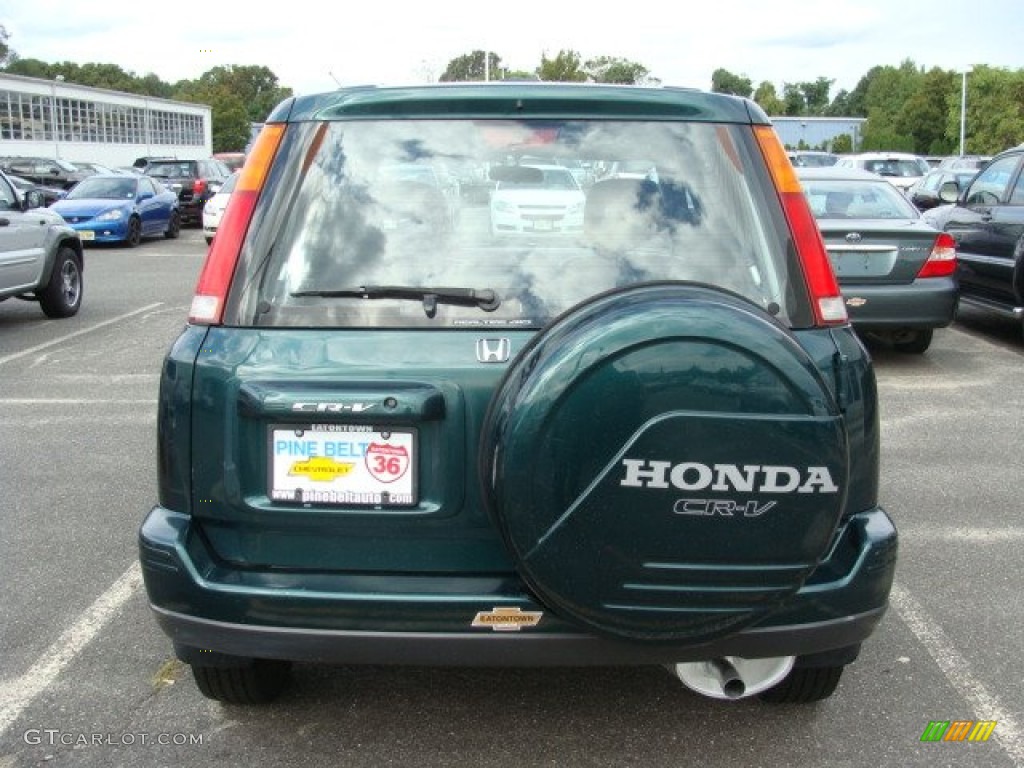 2001 CR-V Special Edition 4WD - Clover Green Pearl / Dark Gray photo #5
