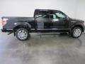 2010 Tuxedo Black Ford F150 Platinum SuperCrew 4x4  photo #13