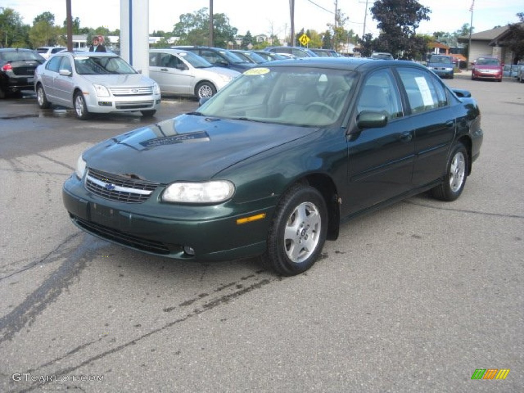2002 Malibu LS Sedan - Forest Green Metallic / Neutral photo #10