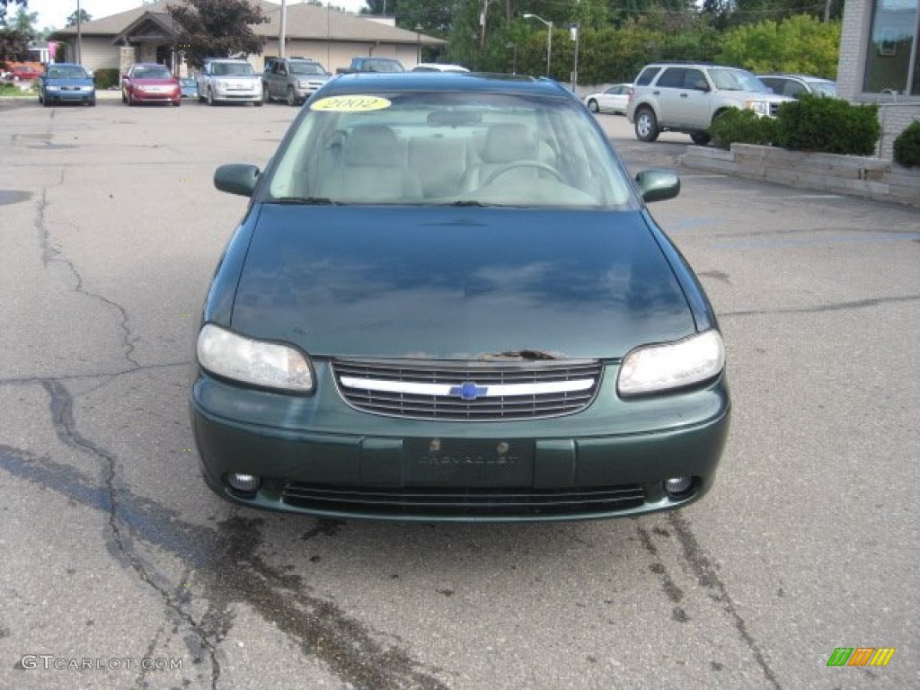 2002 Malibu LS Sedan - Forest Green Metallic / Neutral photo #11