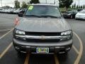Silverstone Metallic - TrailBlazer LS 4x4 Photo No. 9
