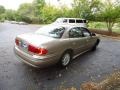 Light Bronzemist Metallic - LeSabre Custom Photo No. 7