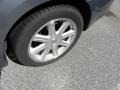 Silver Steel Metallic - Sebring Touring Convertible Photo No. 12
