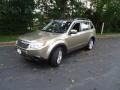 2009 Topaz Gold Metallic Subaru Forester 2.5 X Premium  photo #3