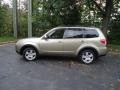 2009 Topaz Gold Metallic Subaru Forester 2.5 X Premium  photo #4