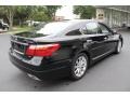 Obsidian Black - LS 460 AWD Photo No. 6