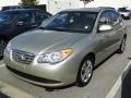 2010 Natural Khaki Hyundai Elantra GLS  photo #35