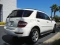 Arctic White - ML 350 4Matic Photo No. 6