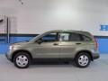 2009 Green Tea Metallic Honda CR-V LX 4WD  photo #2