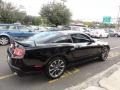 2011 Ebony Black Ford Mustang GT/CS California Special Coupe  photo #10