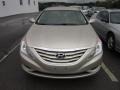 Camel Pearl - Sonata GLS Photo No. 2