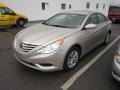 Camel Pearl - Sonata GLS Photo No. 3