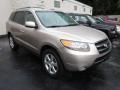 2007 Golden Beige Hyundai Santa Fe Limited 4WD  photo #1