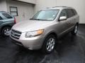 2007 Golden Beige Hyundai Santa Fe Limited 4WD  photo #3