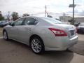 Radiant Silver Metallic - Maxima 3.5 SV Photo No. 3