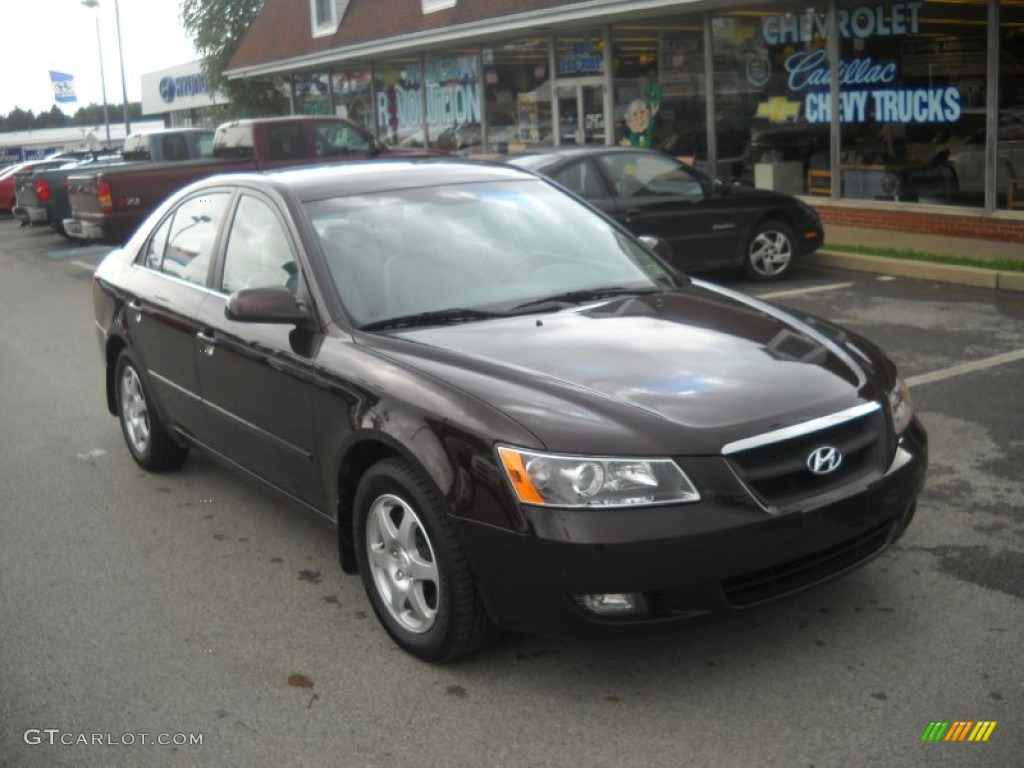 2006 Dark Cinnamon Hyundai Sonata GLS 54815239 Photo 18 GTCarLot