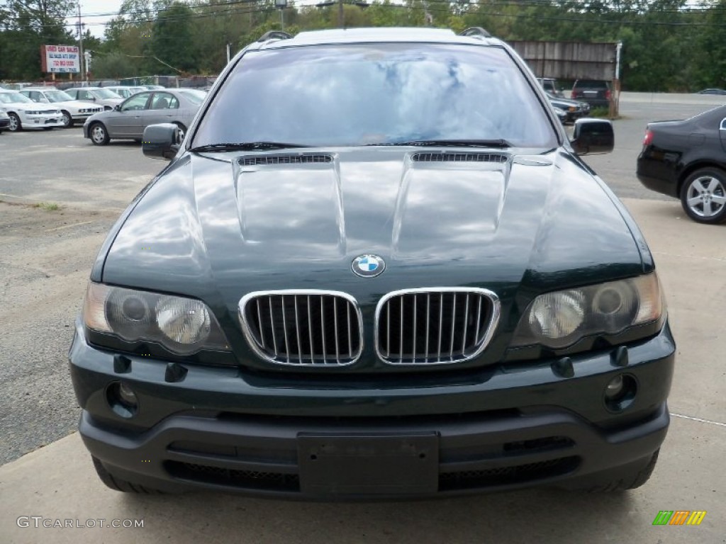 Oxford Green Metallic BMW X5